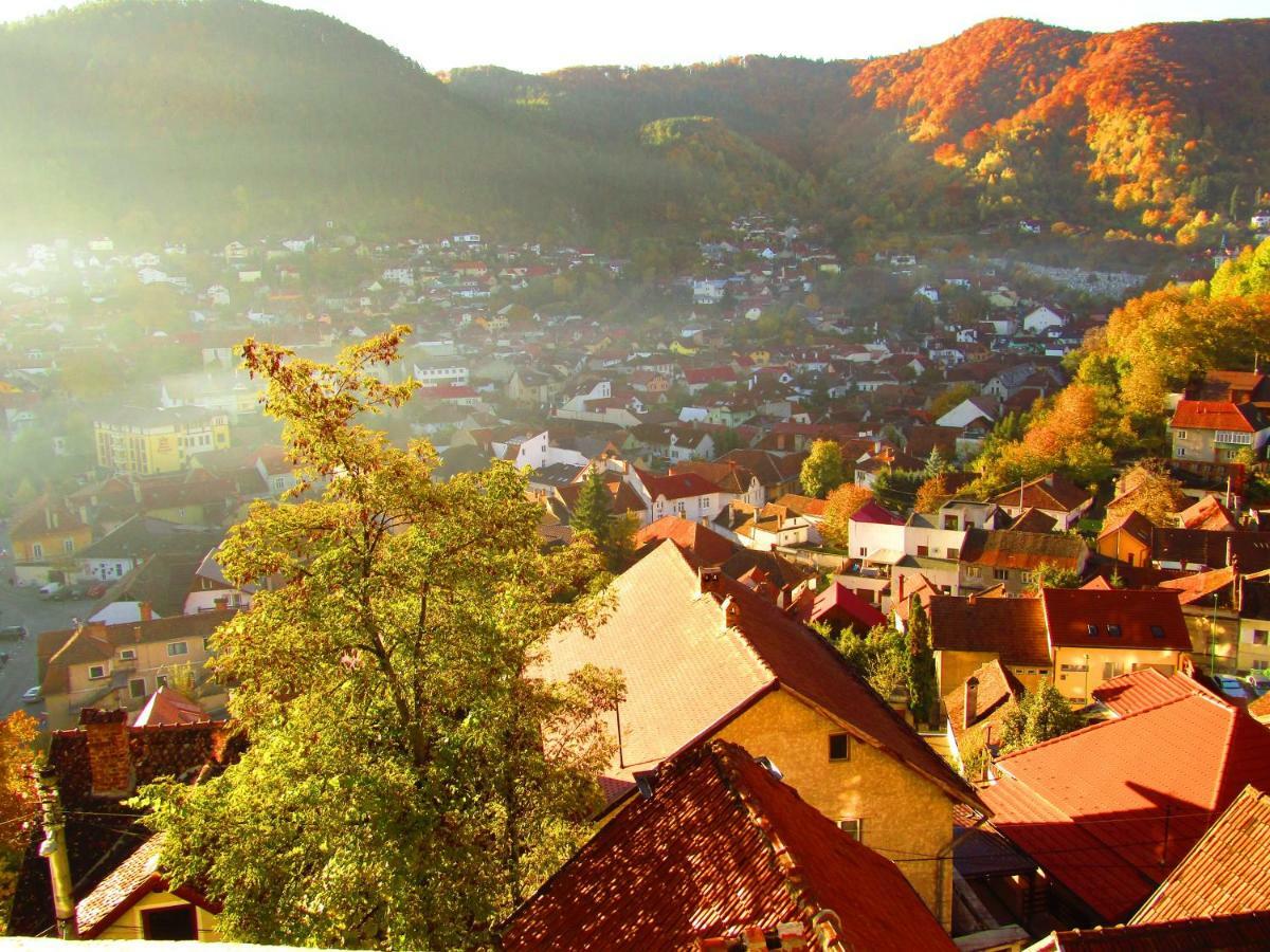 Vila Paul Best Paronamic View Over Medieval Historical Centre Braşov Dış mekan fotoğraf
