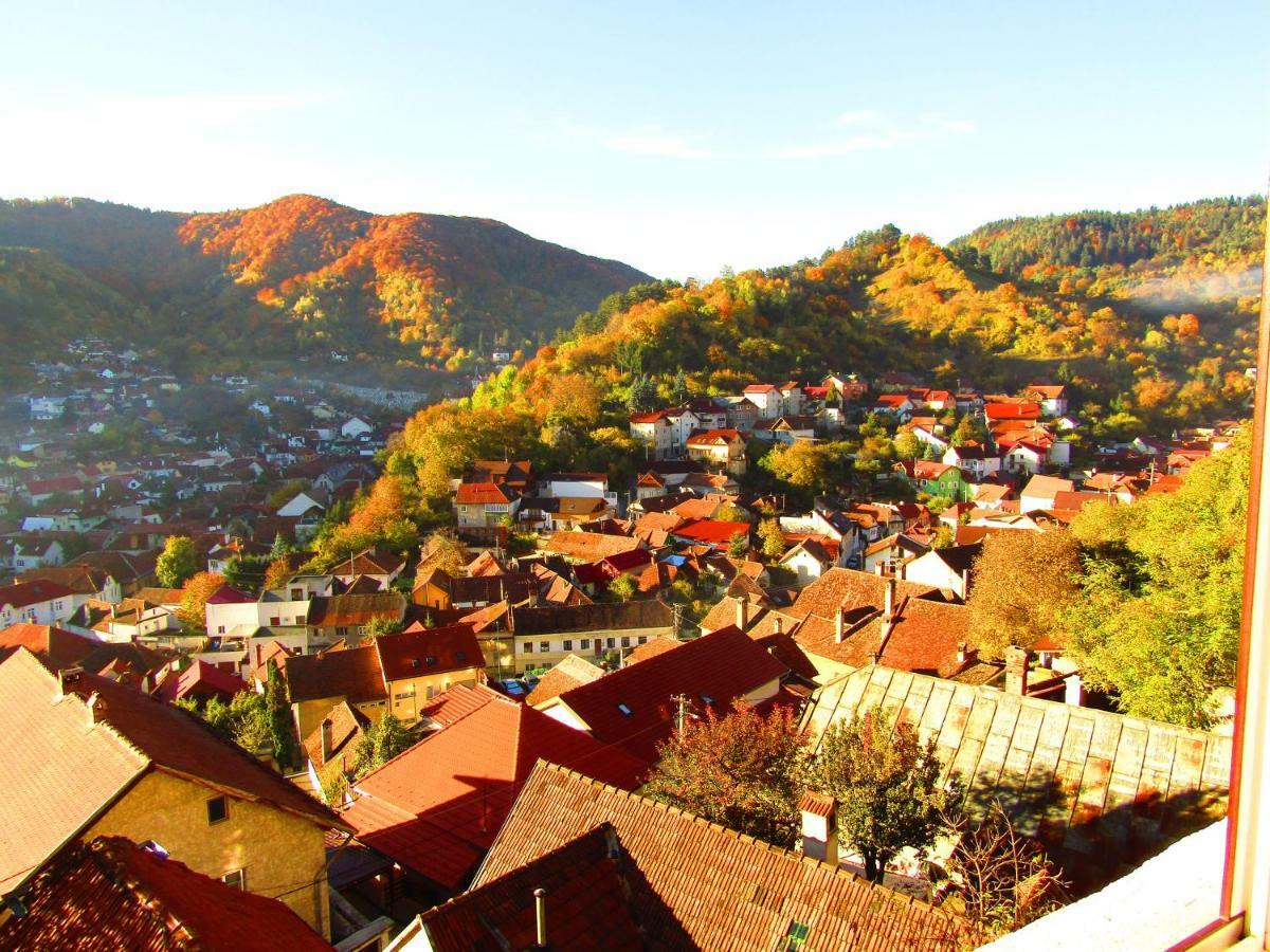 Vila Paul Best Paronamic View Over Medieval Historical Centre Braşov Dış mekan fotoğraf